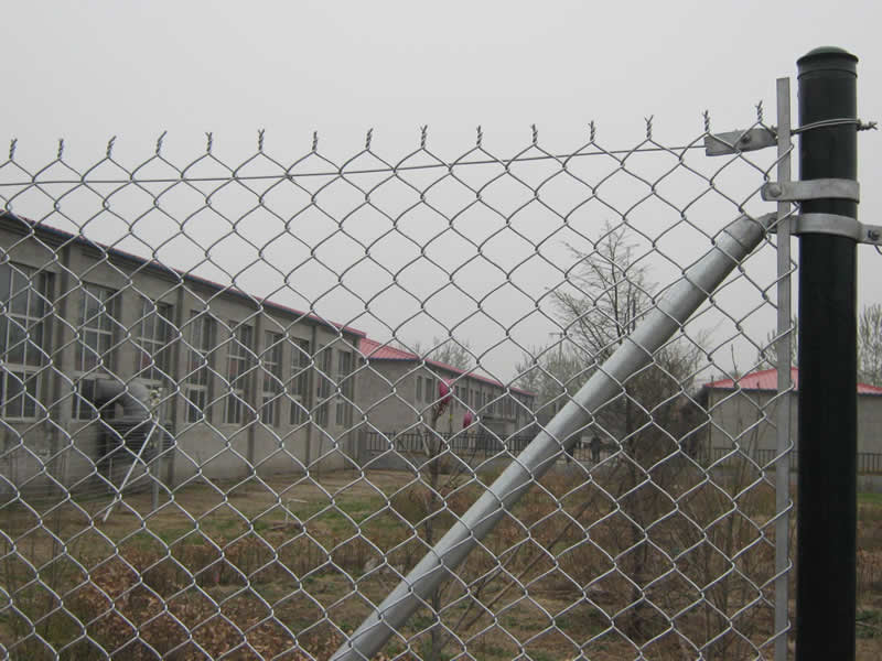 Chain Link Fence