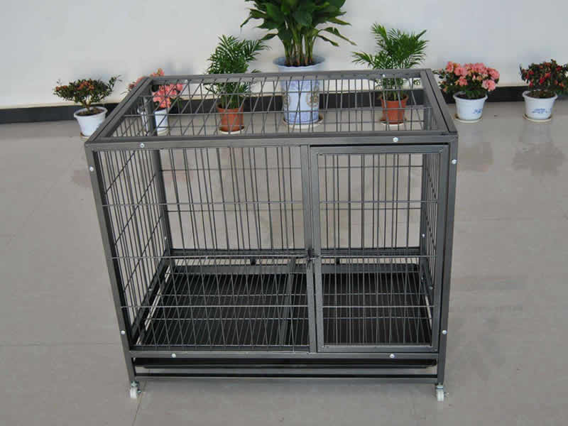 Dog Cage
