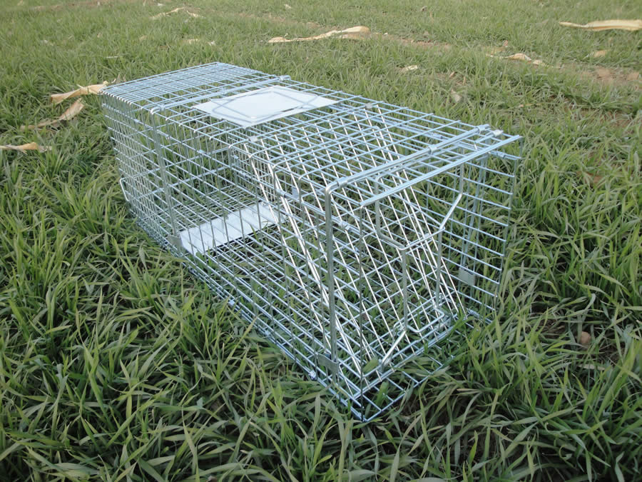 Trap Cage